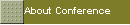About Conference